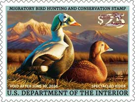 Federal Migratory Bird Hunting Stamp