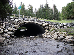 Eccles Creek after replacement