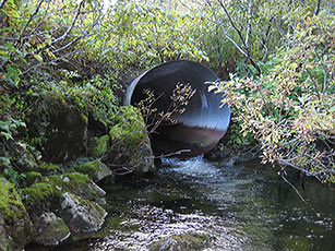 Eccles Creek before replacement