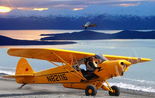 Figure 2 Piper supercub aircraft used to conduct mountain goat aerial surveys