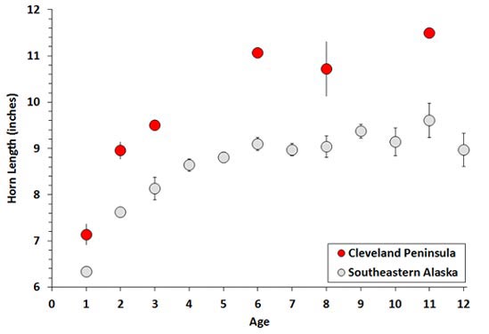 Figure 2 Agespecific total horn length for male mountain goats on the Cleveland Peninsula and elsewhere in southeastern Alaska These data clearly demonstrate how mountain goat horn length on the Cleveland Peninsula is substantially larger than elsewhere