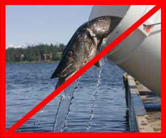 Never transport and release aquatic organisms into waters of the state