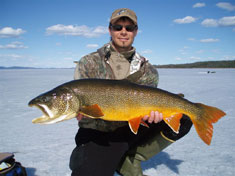 Photo of a Lake Trout