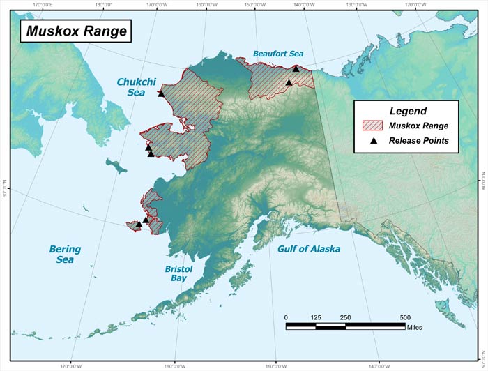 Range map of Muskox in Alaska