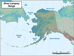 Western River Lamprey range map
