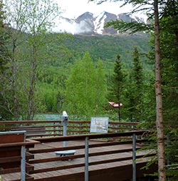 Cooper Landing Viewing Site