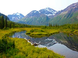 Beaver pond copyERNC