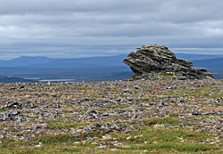 On the road to Pilgrim Hot Springs