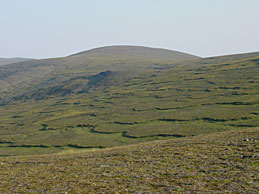 Topsoil undergoing solifluction