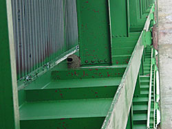 Swallows nest on bridge