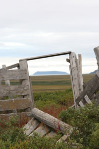 Sledge Island from reindeer corral