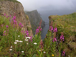 A hike along the cliffs offers stunning views