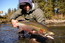 Situk River steelhead Photo by USFS