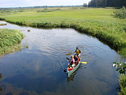 Approaching Cannon Beach Bridge